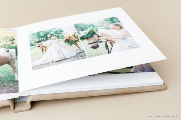 Sunflower Album - Image 3