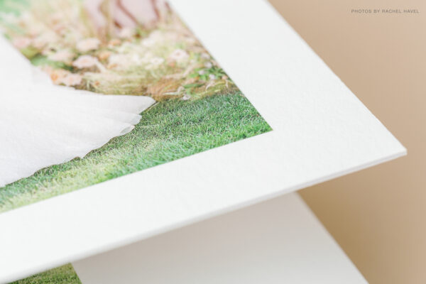 Sunflower Album - Image 4